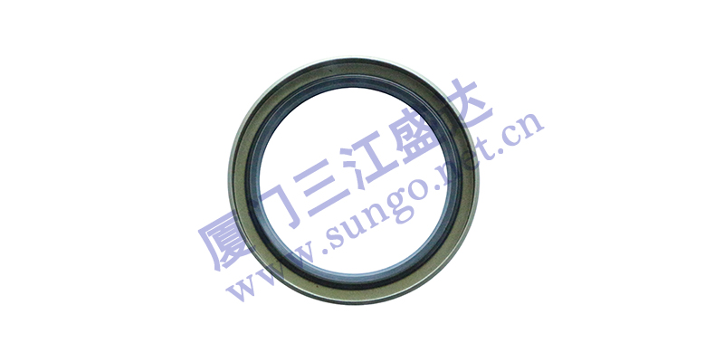 影響油封正常運(yùn)轉(zhuǎn)的因素有哪些？