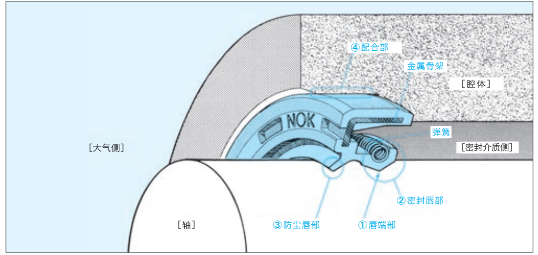 NOK是怎么造油封呢？